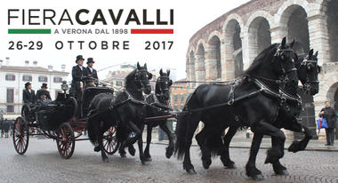 Horses and agricolture in Verona