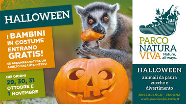 Halloween at Parco Natura Viva in Bussolengo